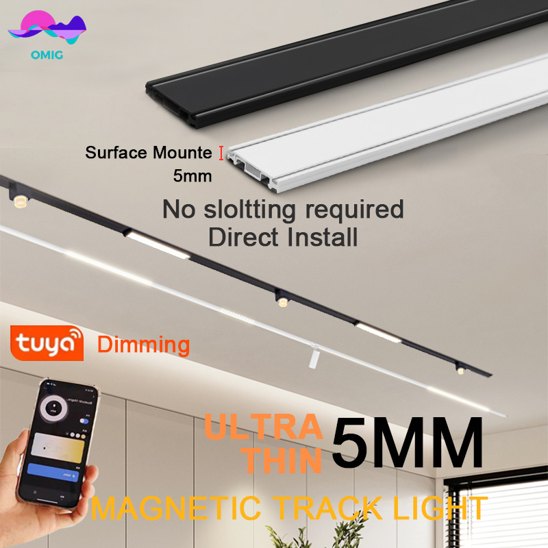 Outdoor Lighting Track - スマートマグネットトラックレールライト ホームTuya調光集中制御 超薄型天井取り付け 48V磁気トラックライトシステム